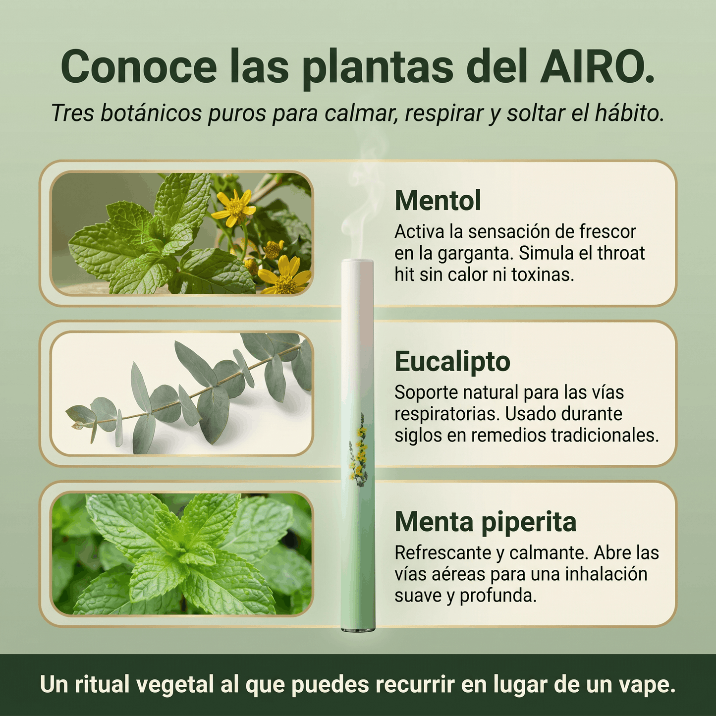 AIRO HERBAL PEN | Inhalador que Satisface el Gesto y las Ganas de Fumar