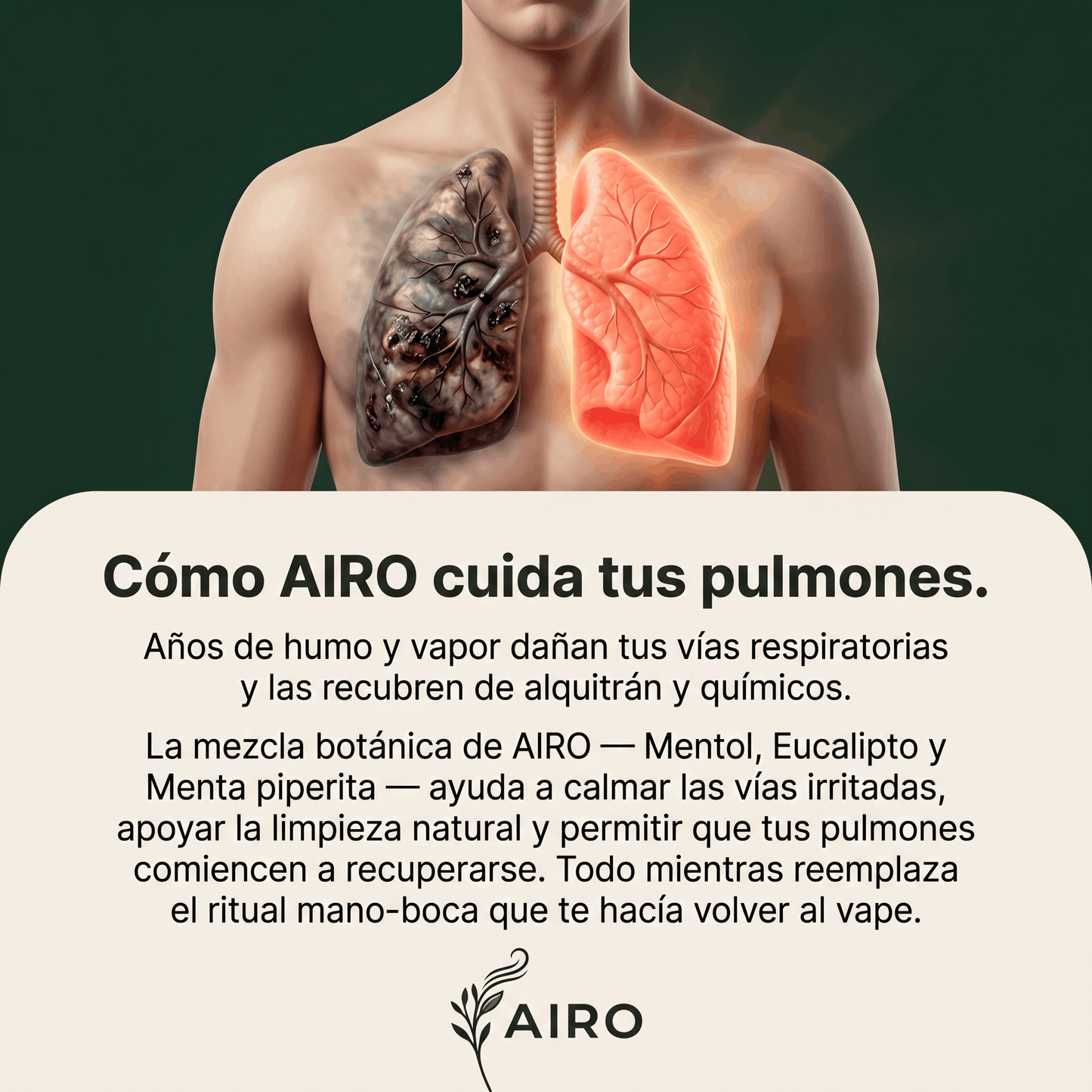 AIRO HERBAL PEN | Inhalador que Satisface el Gesto y las Ganas de Fumar